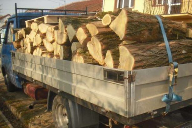 Barbat de 71 de ani din Santimbru RETINUT de politisti Ar fi realizat patru transporturi ilegalede material lemnos