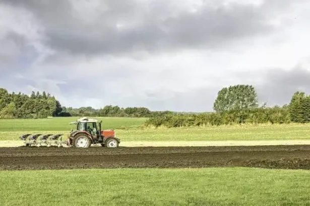 Fermierii din Romania abandoneaza lucrarile agricole din cauza costurilor Expert Pana la 30 din terenuri sunt in pericol sa ramana nelucrate