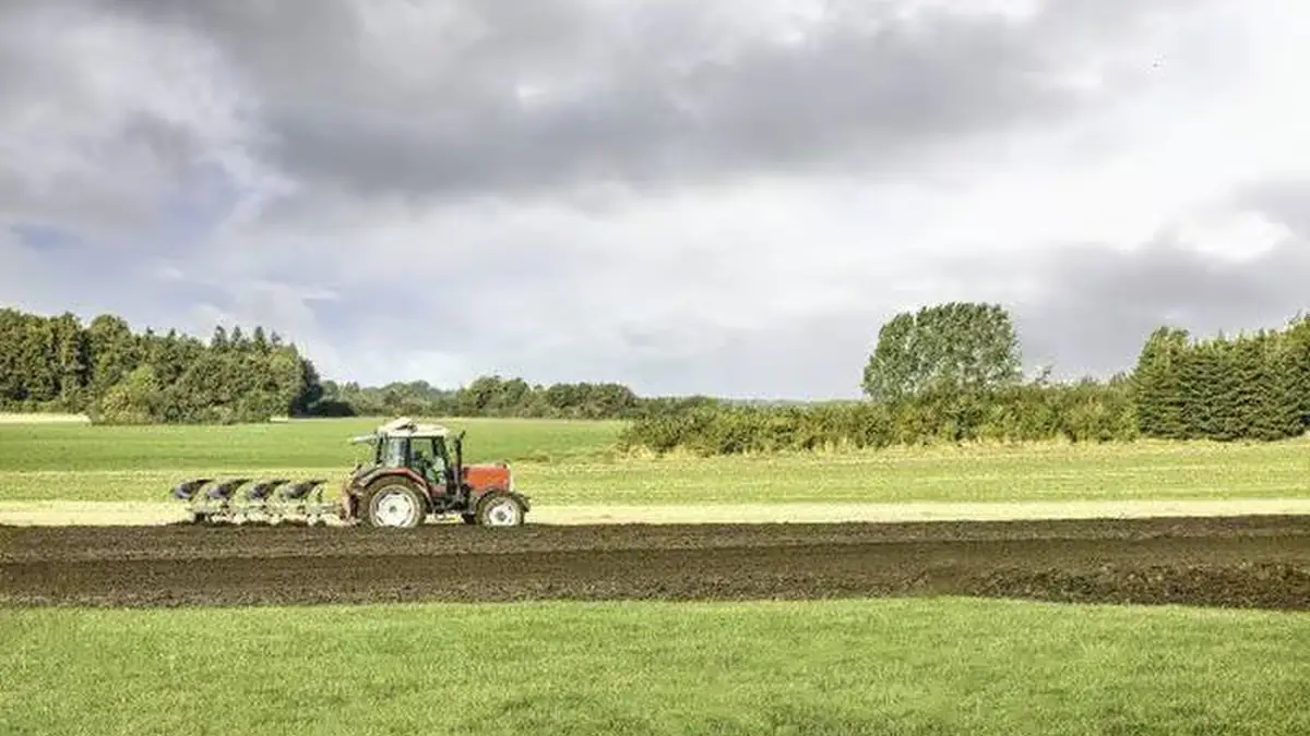 Fermierii din Romania abandoneaza lucrarile agricole din cauza costurilor Expert Pana la 30 din terenuri sunt in pericol sa ramana nelucrate