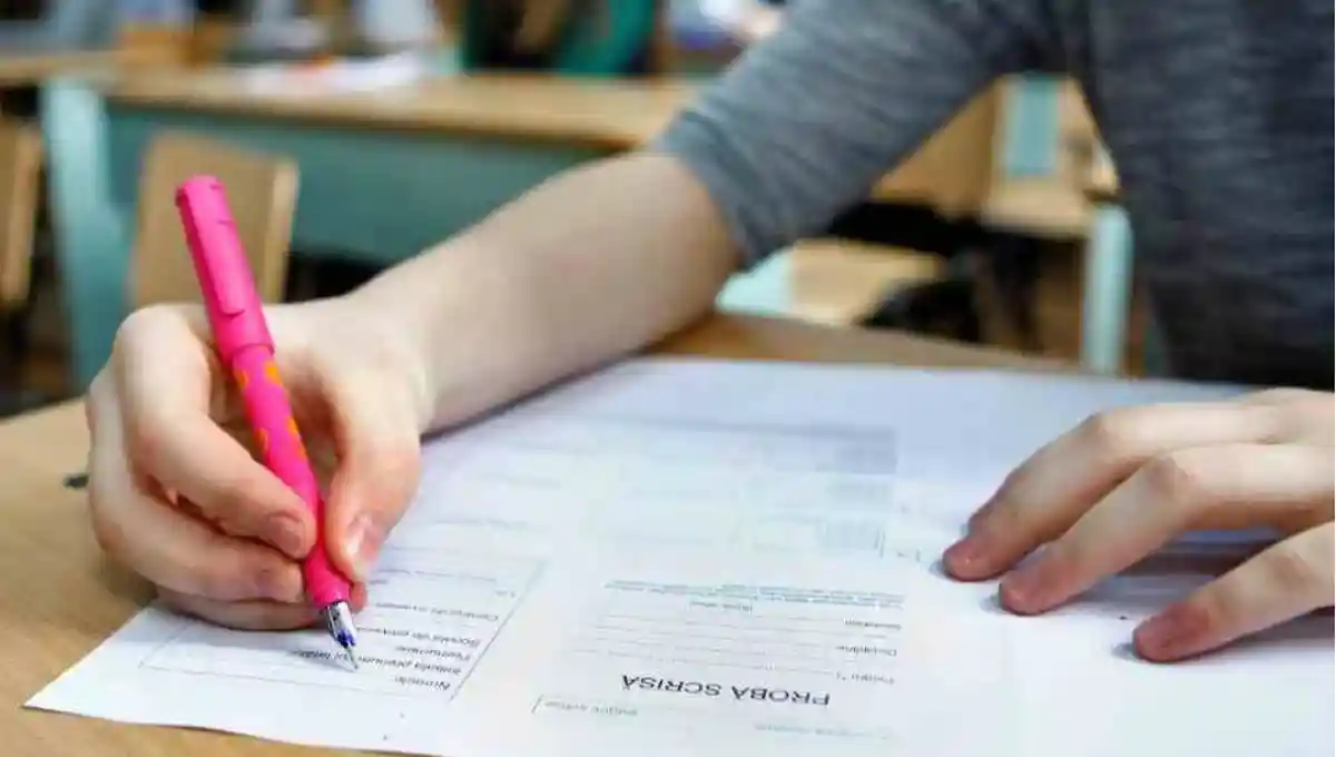 Rezultatele Simularii Evaluarii Nationale 2026 Data afisarii notelor si locul unde elevii le pot vizualiza