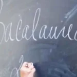 Simulare Bacalaureat 2026 Cati elevi din Alba au participat la testarea la limba materna