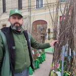 VIDEO Cum si cand se planteaza pomii fructiferi Pasii esentiali pentru a avea copaci sanatoi si rodii