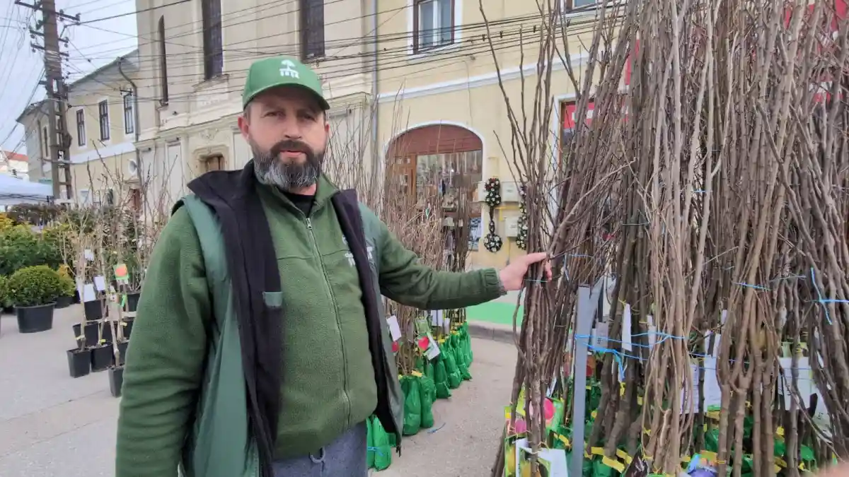 VIDEO Cum si cand se planteaza pomii fructiferi Pasii esentiali pentru a avea copaci sanatoi si rodii