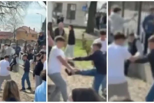 VIDEO Gala de box la Scoala Gimnaziala Avram Iancu din Alba Iulia Doi elevi sau luptat sub privirile si aplauzele colegilor