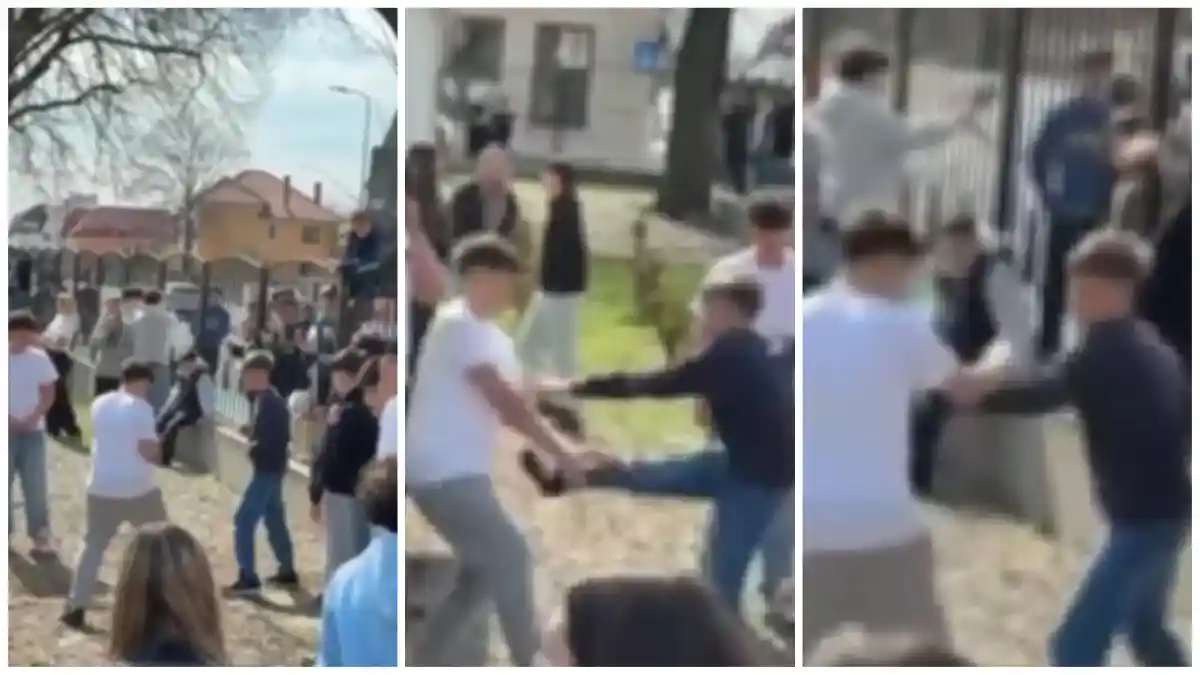 VIDEO Gala de box la Scoala Gimnaziala Avram Iancu din Alba Iulia Doi elevi sau luptat sub privirile si aplauzele colegilor