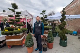 VIDEO Un inginer horticole din Alba transforma plantele in adevarate opere de arta Topiarele rabdare talent imaginatie si ani de munca in spatele formelor spectaculoase