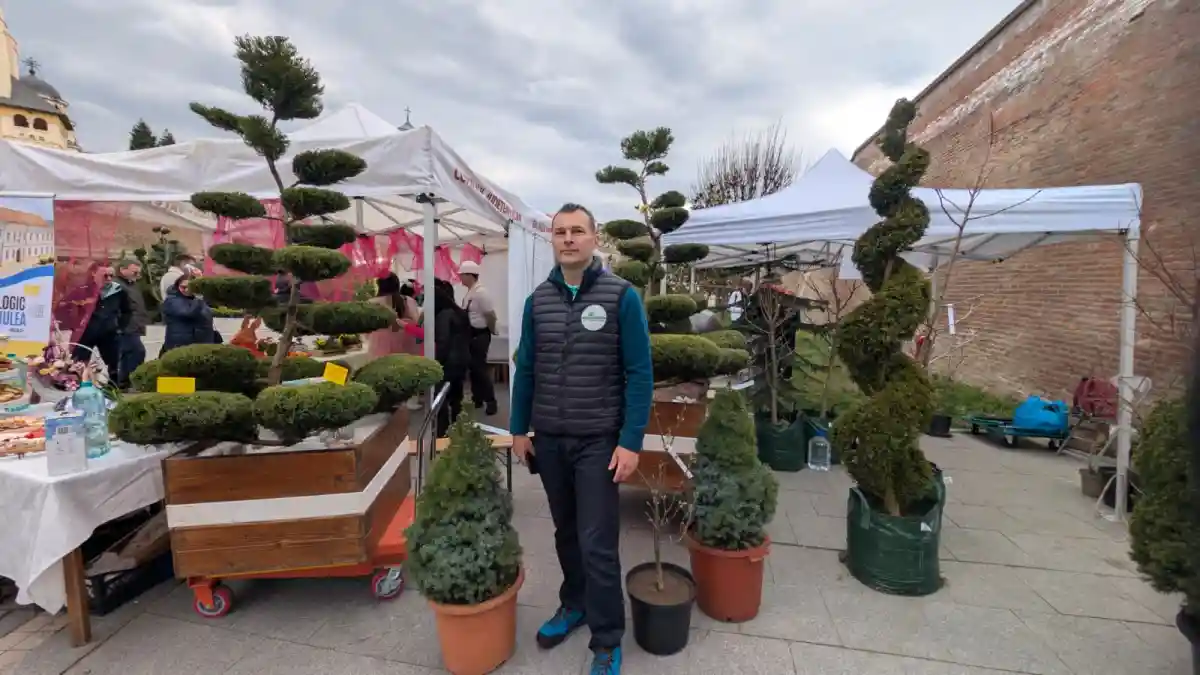 VIDEO Un inginer horticole din Alba transforma plantele in adevarate opere de arta Topiarele rabdare talent imaginatie si ani de munca in spatele formelor spectaculoase