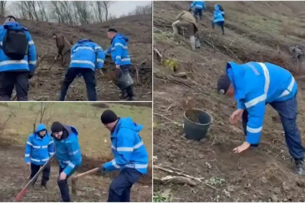 video aciune de reimpadurire in comuna noslac jandarmii din aiud au plantat peste 500 de puieti de paltin si gorun