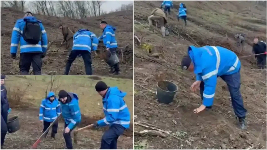 video aciune de reimpadurire in comuna noslac jandarmii din aiud au plantat peste 500 de puieti de paltin si gorun