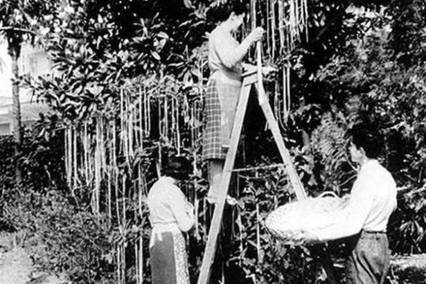 1 Aprilie Ziua Pacaleilor Obiceiuri traditii si originea acestei zile