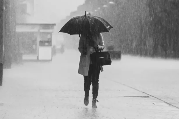 2 4 aprilie 2026 Inceput de primavara cu ninsori la munte Vant si ploi in intreaga Romania Anuntul meteorologilor