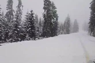 2 4 aprilie 2026 alerta galben de ninsori n zona nalt a munilor sureanu din alba