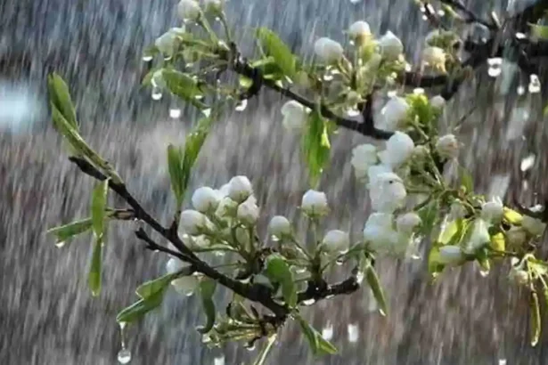 29 aprilie 2 mai 2026 Atenzionare meteorologica de la ANM Ploi abundente ninsori si vant puternic in Alba si in restul tarii pana sambata Strat de zapada de 5 8 cm in zonele montane
