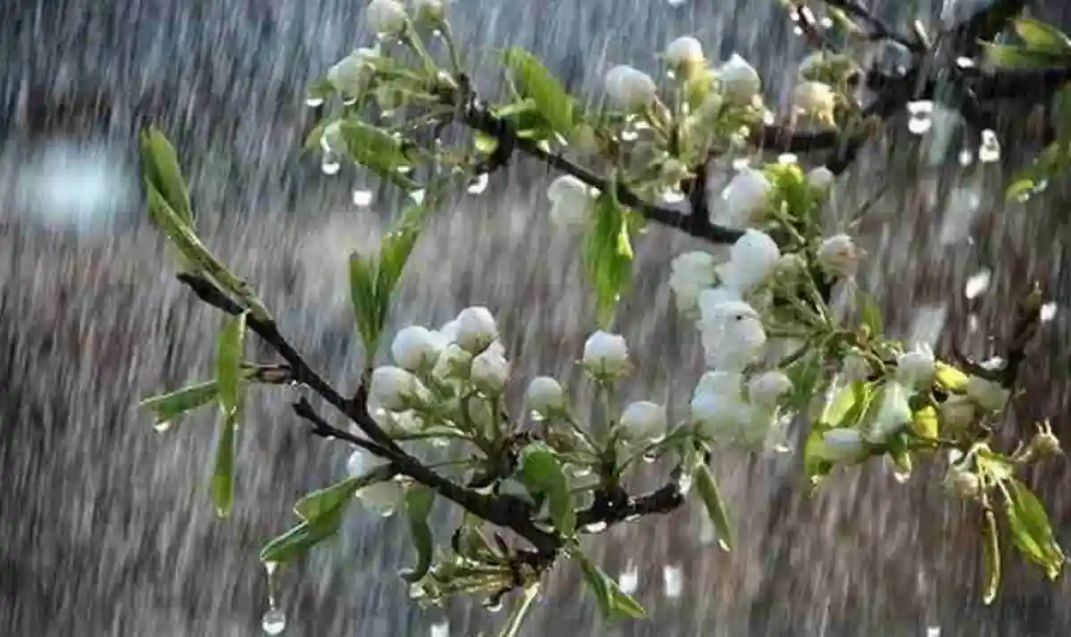 29 aprilie 2 mai 2026 Atenzionare meteorologica de la ANM Ploi abundente ninsori si vant puternic in Alba si in restul tarii pana sambata Strat de zapada de 5 8 cm in zonele montane