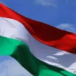 Cate etnici maghiari din Alba au avut drept de vot in alegerile din Ungaria