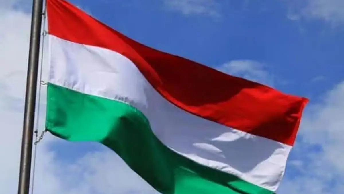 Cate etnici maghiari din Alba au avut drept de vot in alegerile din Ungaria