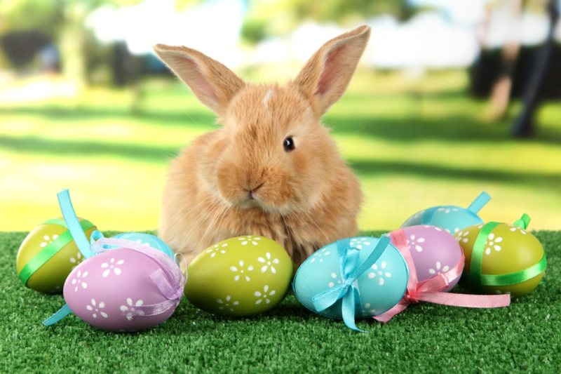 Ce se mananca in prima zi de Paste Care este primul aliment pe care trebuie sa il consumi pentru a atrage noroc si prosperitate pe tot parcursul anului