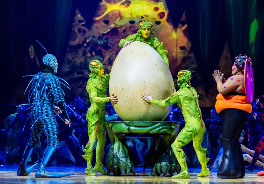 Cirque du Soleil prezinta spectacolul OVO la Cluj Napoca