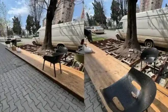 FOTO Cascarabele la zi Terasa amenajata care condamna un copac la moarte la Alba Iulia Arhitect sef Astfel de interventii nu sunt doar neconforme ci pot pune in pericol pietonii si afecteaza imaginea orasului