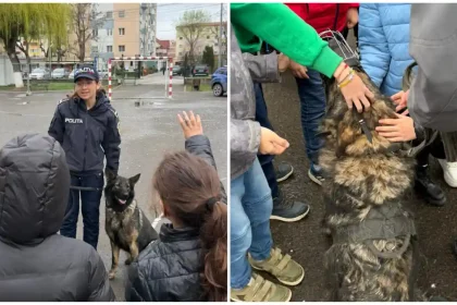 FOTO Elevii Scolii Gimnaziale Ion Agarbiceanu din Alba Iulia intonire cu Sara si Tina doua cateluse politiste in cadrul unei activitati de prevenire Ce subiecte au abordat