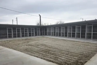 FOTO Lucrarile de extindere a adapostului public pentru caini fara stapan din Alba Iulia au fost finalizate Primaria va moderniza alte 29 de tarcuri printr un parteneriat cu Asociatia Prietenii lui Azor
