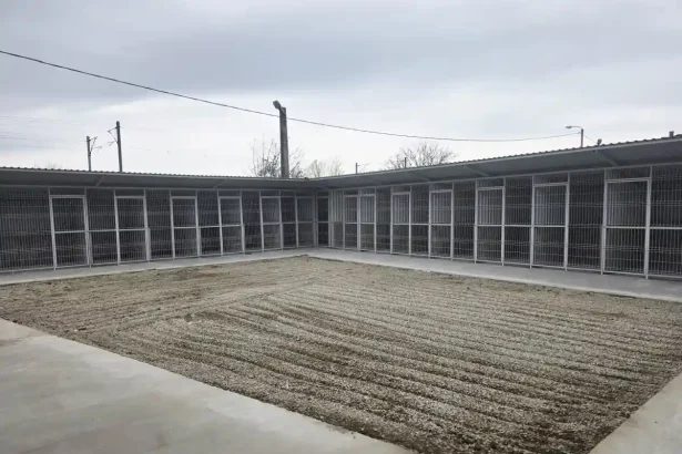FOTO Lucrarile de extindere a adapostului public pentru caini fara stapan din Alba Iulia au fost finalizate Primaria va moderniza alte 29 de tarcuri printr un parteneriat cu Asociatia Prietenii lui Azor