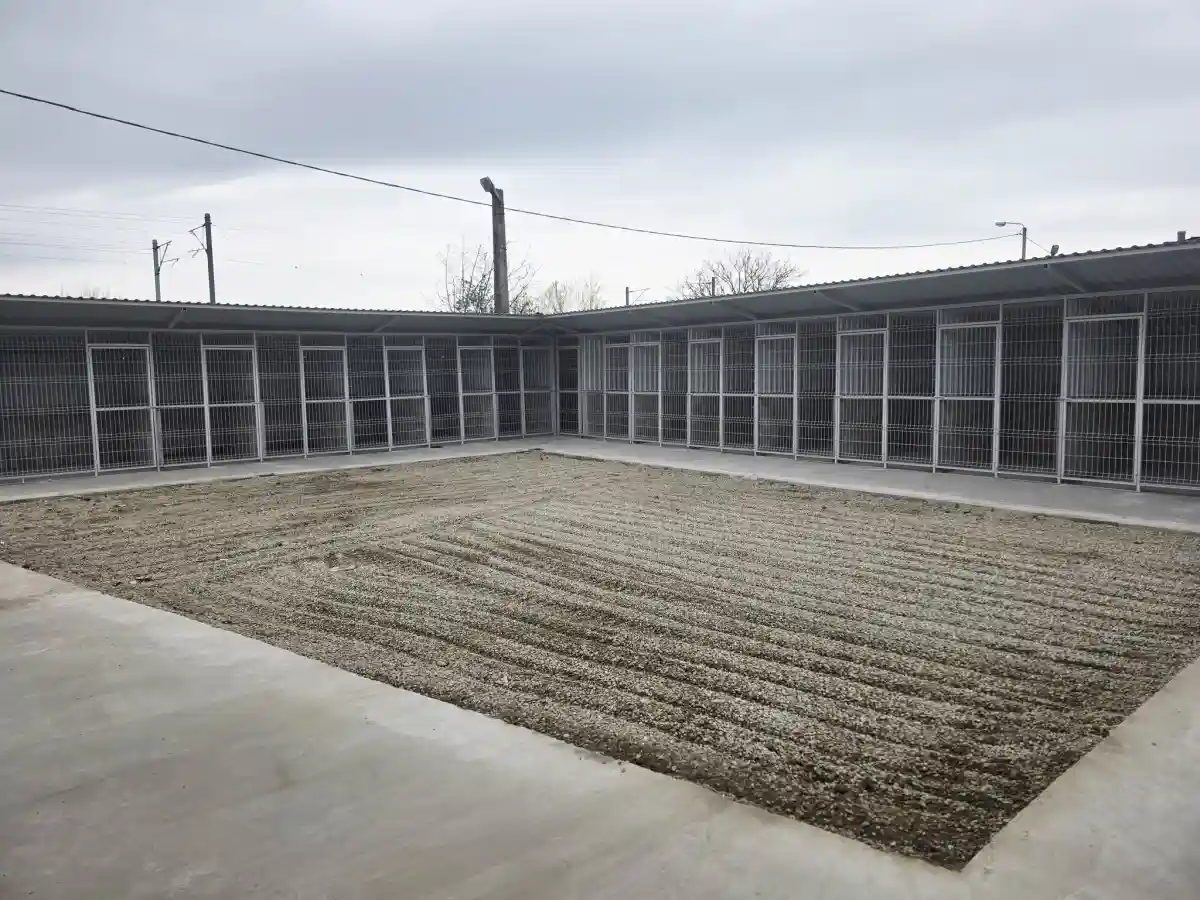FOTO Lucrarile de extindere a adapostului public pentru caini fara stapan din Alba Iulia au fost finalizate Primaria va moderniza alte 29 de tarcuri printr un parteneriat cu Asociatia Prietenii lui Azor