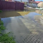 FOTO STIREA TA Suferinta locuitorilor de pe o strada din Alba Iulia Pe strada Dacilor din Partos nu e nevoie de ploaie pentru ca canalizarea sa refuleze