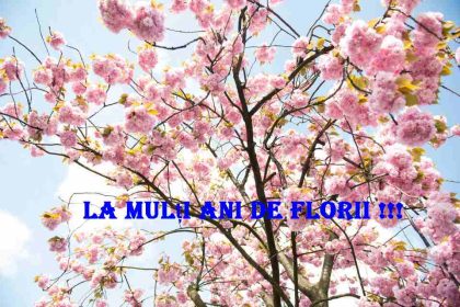 Florii 2026 Ce nume de flori sunt celebrate in Duminica Floriilor