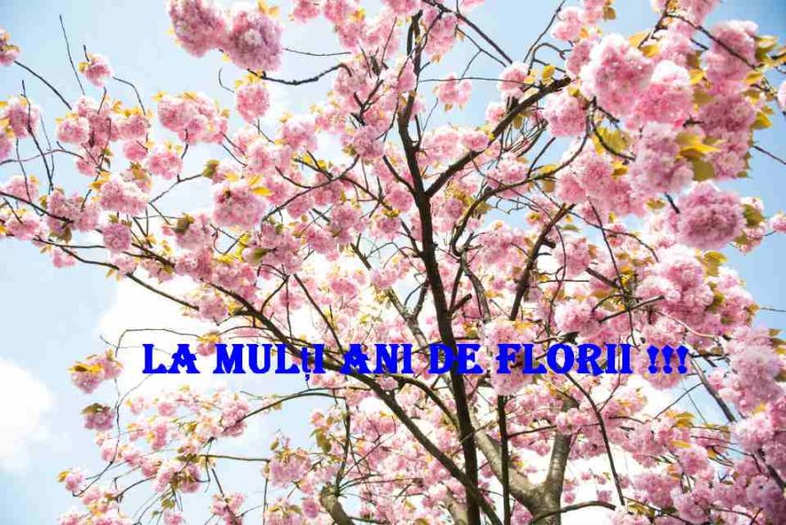 Florii 2026 Ce nume de flori sunt celebrate in Duminica Floriilor