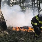 INCENDIU de vegetatie uscatasi miriste in padurea de la Izvoru Ampoiului Intervin pompierii