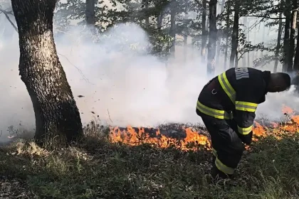 INCENDIU de vegetatie uscatasi miriste in padurea de la Izvoru Ampoiului Intervin pompierii