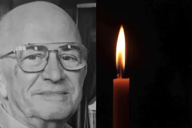 In Memoria Sa Arhitect Fleschin Stelian Gheorghe