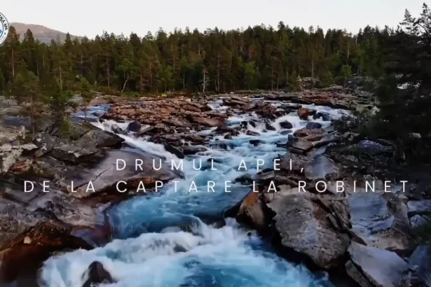 La APA CTTA Alba banii pentru sefi circula repede si in debite mari asemanator raurilor din Norvegia in timp ce raspunsurile de interes public sunt blocate ca intr o canalizare infundata