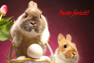 Mesaje haioase de Paste 2026 Cele mai amuzante urari de trimis prietenilor