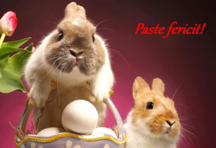 Mesaje haioase de Paste 2026 Cele mai amuzante urari de trimis prietenilor