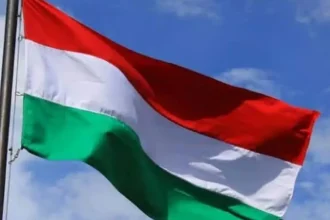 Schimbarea Guvernului Ungar va exercita o presiune economica si sociala si mai mare asupra tarii noastre Economist Vor exista si mai multe motive pentru investitii in Ungaria in detrimentul Romaniei