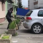 VIDEO STIREA TA Asa da Un exemplu de spirit civic oferit de o femeie din Alba Iulia A curatat o parcare de pe Bulevardul 1 Decembrie 1918 Nu mai puteam suporta mizeria asta toata ziua