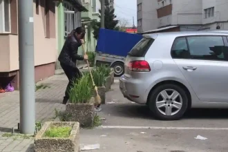 VIDEO STIREA TA Asa da Un exemplu de spirit civic oferit de o femeie din Alba Iulia A curatat o parcare de pe Bulevardul 1 Decembrie 1918 Nu mai puteam suporta mizeria asta toata ziua