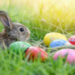 cum va fi vremea in romania de florii si paste 2026 temperaturi mai joase dect cele obisnuite prognoza meteo pana pe 4 mai 2026