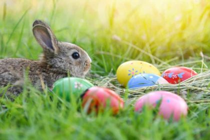 cum va fi vremea in romania de florii si paste 2026 temperaturi mai joase dect cele obisnuite prognoza meteo pana pe 4 mai 2026