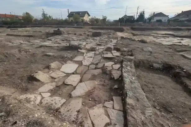 mega muzeu in aer liber cu vestigii de 2000 de ani pe terenu destinat initial construirii unei autobaze in alba iulia primarul gabriel plesa sapaturile vor continua pana la finalizarea descarcarii arheologice