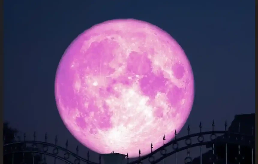 spectacole ceresti in primavara lui 2026 cand vor putea fi observate luna roz si luna albastra