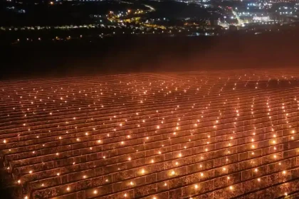 video spectaculos o ferma de pomi fructiferi din ardeal a cheltuit 40000 de euro intr o singura noapte pentru a salva florile de cires din livada inghetul tarziu a avut un impact devastator