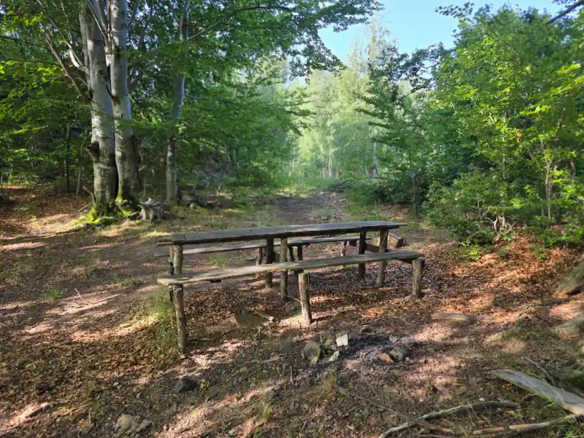 31 Iulie Ziua Internationala a Rangerilor Eroii care se afla in prima linie pentru protejarea biodiversitatii