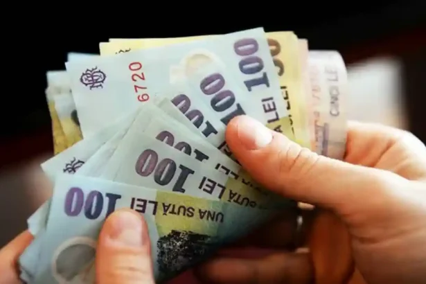 Adrian Negrescu analist economic Din fiecare 100 de lei profit statul ia 29 44 lei Si pentru acesti bani investitorul nu primestec nici pensie nici asigurare de sanatate
