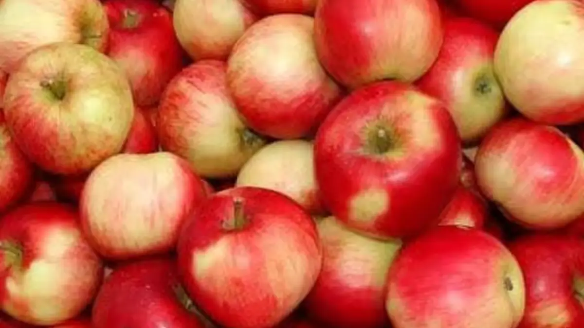 Cate mere ar trebui sa consumam zilnic Ce spun cercetarile despre unul dintre cele mai populare fructe