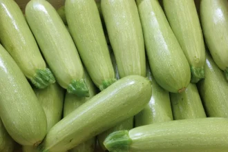 Ce avantaje aduce consumul regulat de dovlecel pentru organism crud fiert sau la gratar Modul de preparare este important