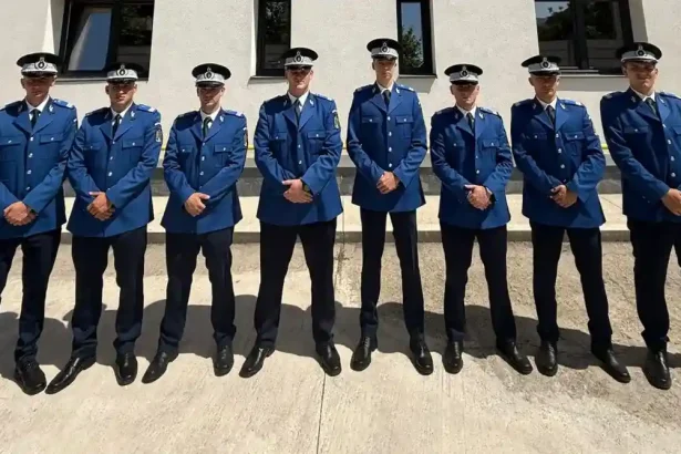 Ce grade militare exista in Jandarmeria Romana Cine conduce si cum avanseaza un jandarm in grad