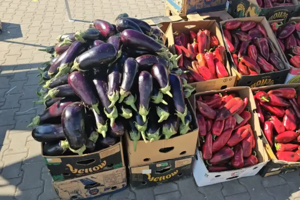 Ct de mult cost vinetele ardeii i gogoarii n Piaa Agroalimentar din Sebe Vnztor Preuri acceptabile pentru toate categoriile